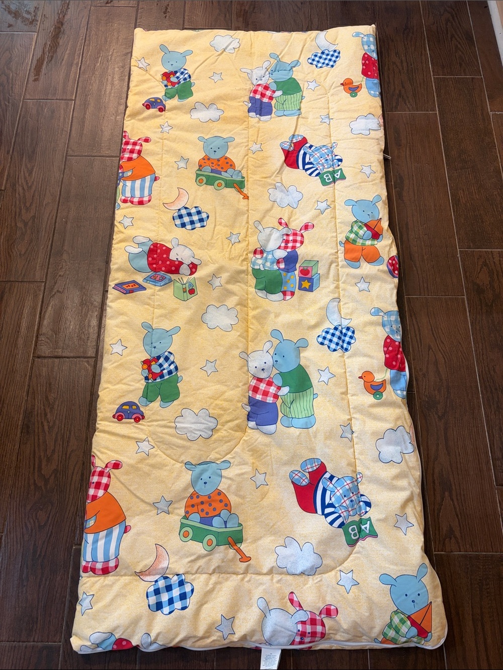 Vtg Coming Home Lands End Kids Sleeping Bag Blanket Comforter Bear Bunny 90s USA
